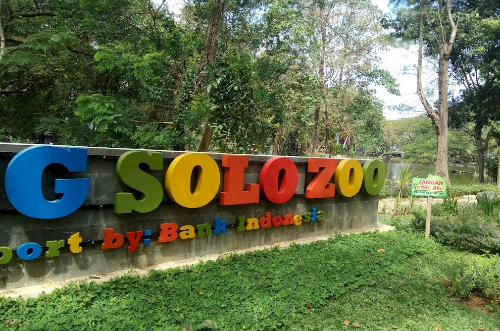 Side Image